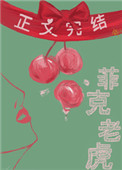 菲克老虎27