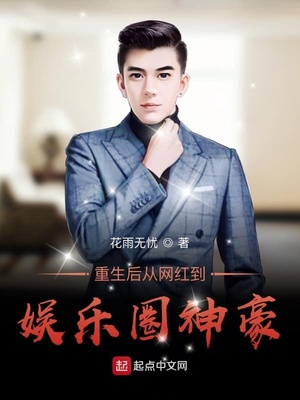 从网红到巨星 小说