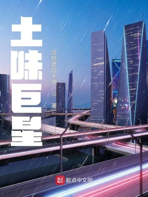 土味巨星类似的小说