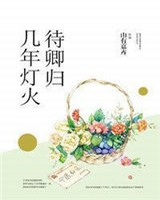 几年灯火待卿归第九