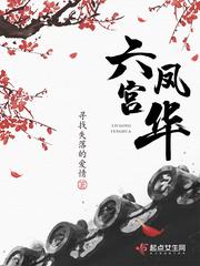 六宫凤华TXT下载全本