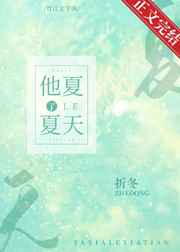 他夏了夏天小说番外