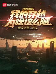 穿越四合院的完本小说