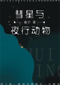 彗星与夜行动物 txt百度云