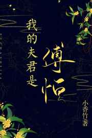 我的夫君是傅恒(清穿) 小说