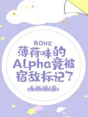 薄荷味的Alpha竟被宿敌标记了