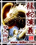 小说龙蛇演义
