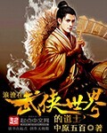 浪迹在武侠世界的道士顶点
