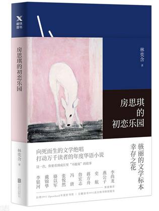 房思琪的初恋乐园