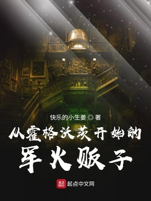 从霍格沃茨开始的军火贩子九桃