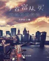 当首富从买亏损企业开始 小说