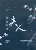 我的危险夫人归山玉讲了什么
