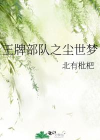王牌部队全集完整版