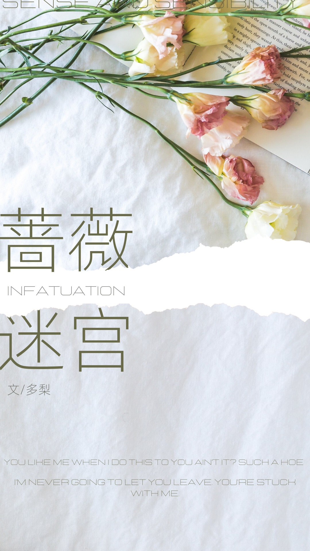 蔷薇amoce