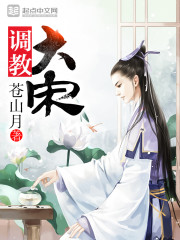 北宋之乱世枭雄