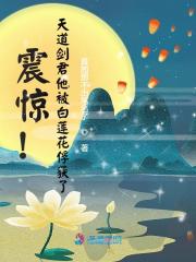 剑道天心小说全集