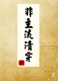 非主流清穿书评