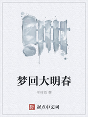 梦回大明春小说阅读