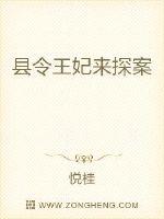 小说县令破案