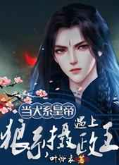朕不小心把摄政王娶了
