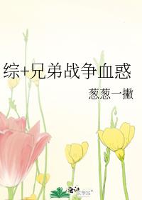 综兄弟战争固执己见