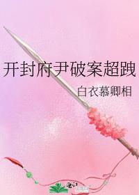 女主穿越开封府破案的小说