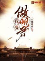 我要做明星小说