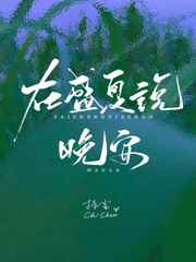 在盛夏说晚安笔趣阁