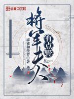 少帅夫人有点野大结局