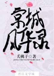 京城风华录