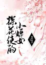 探花使的小婢女