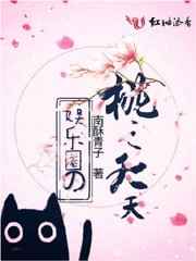 娱乐圈之stay with