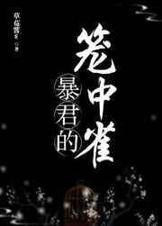 暴君的笼中雀全文