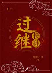 过继长孙小说