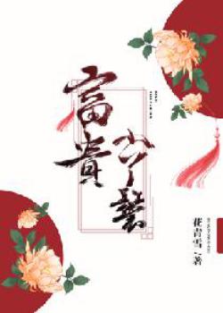 富贵小丫鬟TXT下载书包网