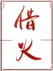 借火小说全文免费