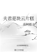 夫君是块云片糕