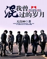 我曾混过的岁月 小说