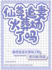 仙尊追妻火葬场了吗