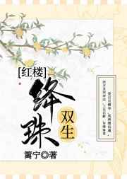 双生珠是哪个动漫的
